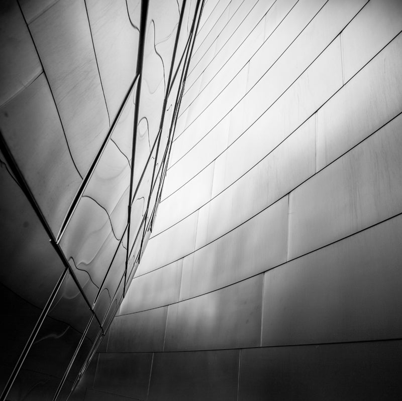 Walt Disney Concert Hall Detail