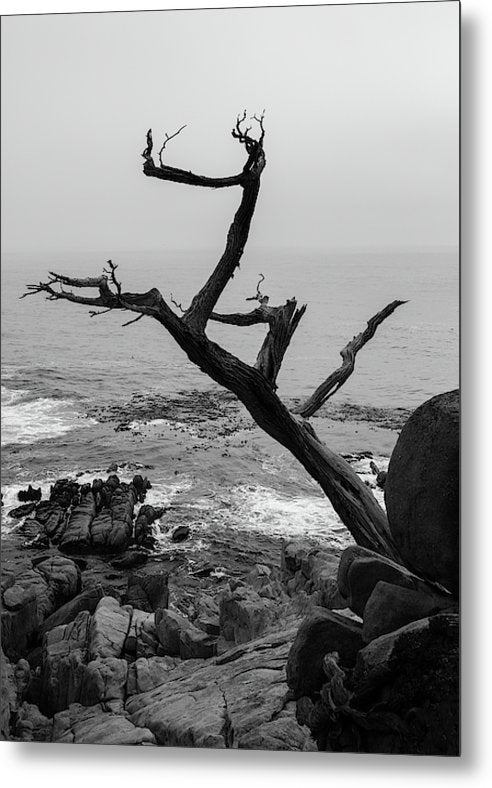 Still Standing - Metal Print