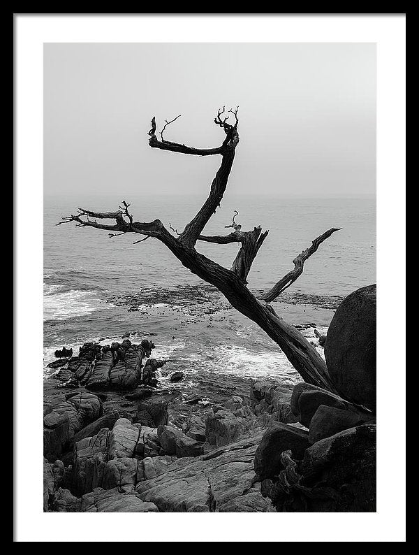 Still Standing - Framed Print