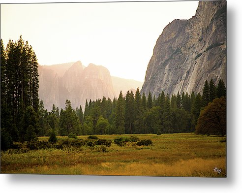 Yosemite - Metal Print